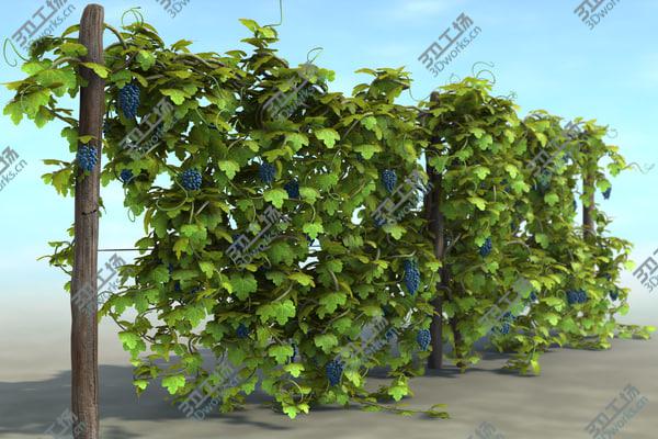 images/goods_img/20210312/Vineyard Pack/1.jpg